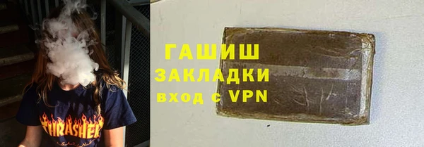молекула духа Богородицк