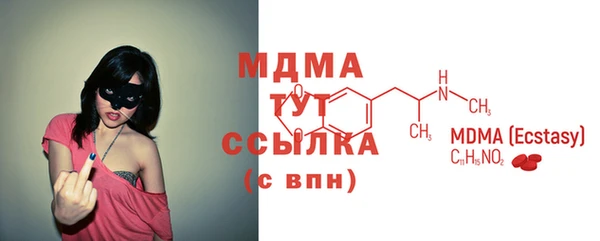 молекула духа Богородицк
