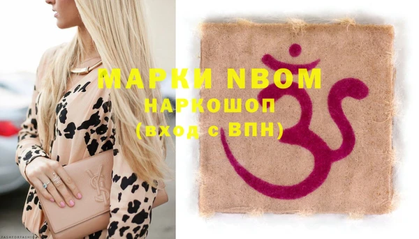 молекула духа Богородицк