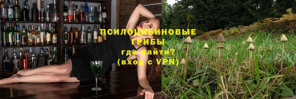 молекула духа Богородицк