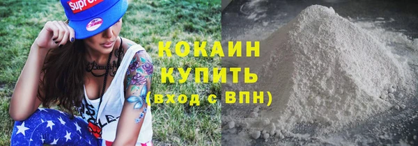 молекула духа Богородицк