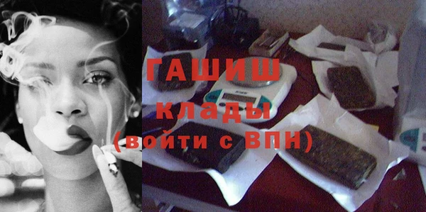 молекула духа Богородицк