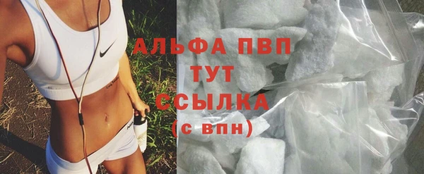 спиды Рославль