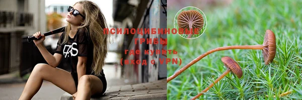 apvp Богородск